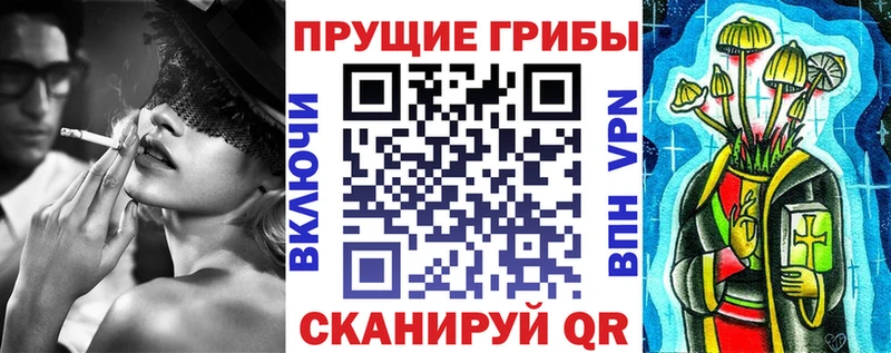 Купить где  Котельниково  Галлюциногенные грибы MAGIC MUSHROOMS 