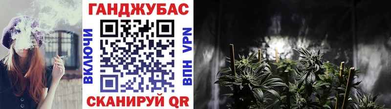 Марихуана план  Купить где  Котельниково 
